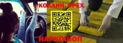 дмт Гай