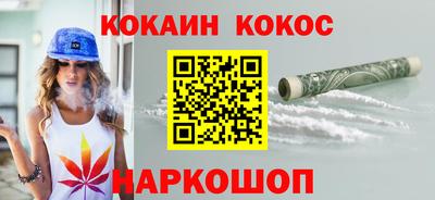 дмт Гай