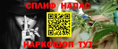 дмт Гай