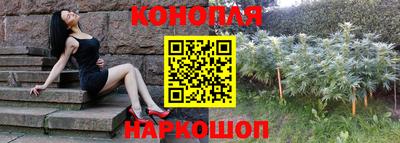 индика Гагарин