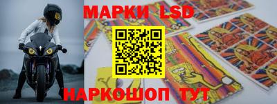 индика Гагарин
