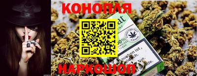 индика Гагарин