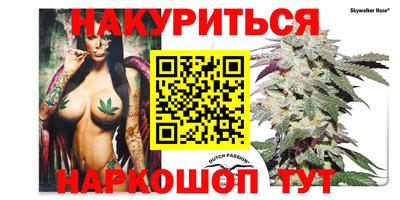кокаин Гатчина