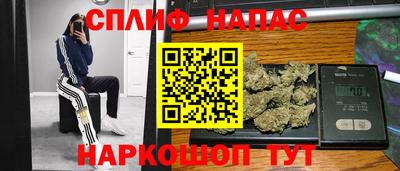 дмт Гай