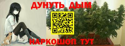 индика Гагарин