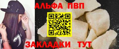 дмт Гай