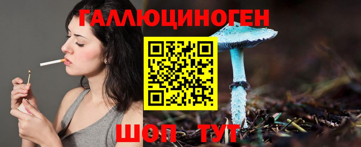 Вологда  Псилоцибиновые грибы Psilocybine cubensis  Вход с VPN 