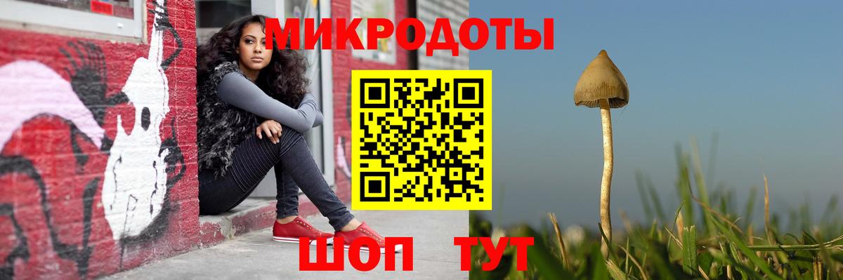 Псилоцибиновые грибы GOLDEN TEACHER Вологда